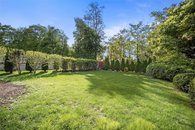 26 Crane Ave, White Plains, NY 10603 - photo 35