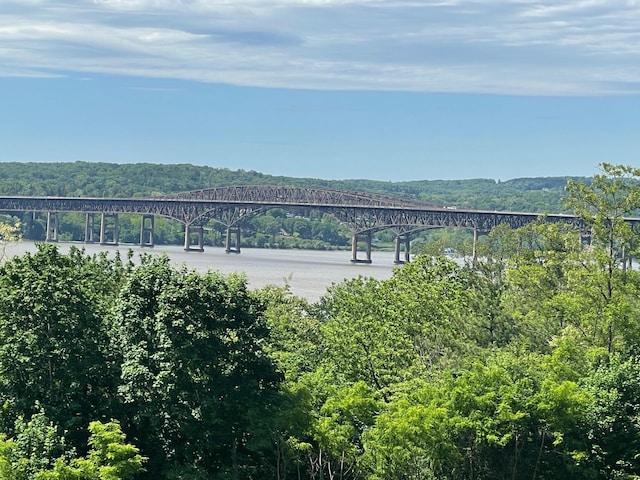 water view featuring a notable bridge