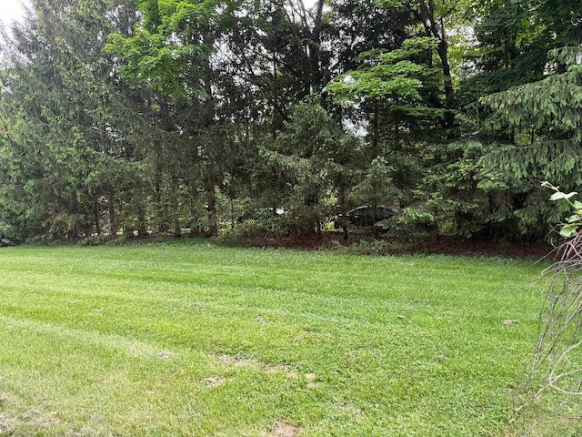 284 Titusville Rd, Poughkeepsie, NY 12603 - view of grassy yard with a view of trees