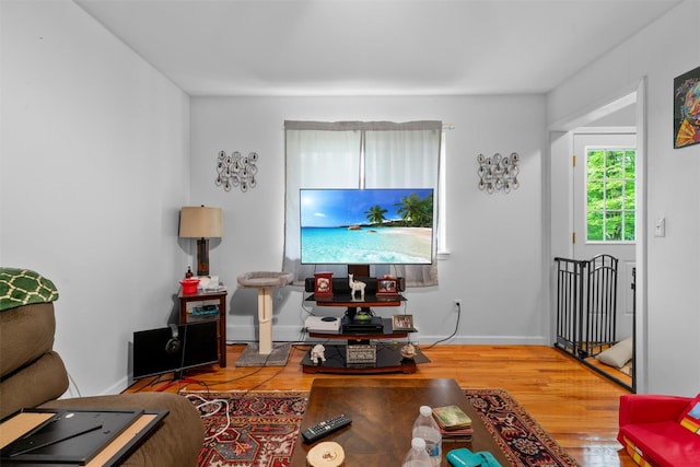 448 Old Mountain Rd, Port Jervis, NY 12771 - living room featuring wood finished floors and baseboards