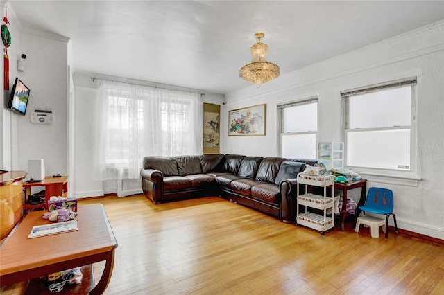 34-08 Murray Ln, Flushing, NY 11354 - living room featuring light wood-style flooring and ornamental molding