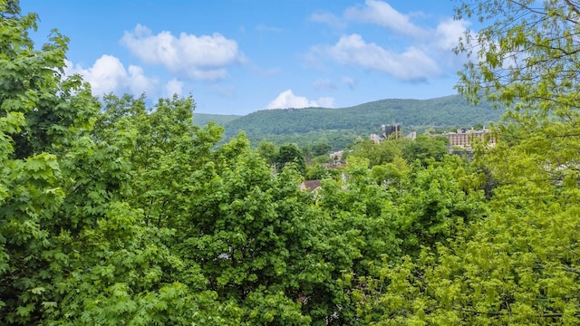 20 S St S, Highland Falls, NY 10928 - view of mountain backdrop featuring a heavily wooded area