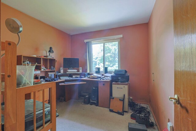 2 Mohican Rd, Newburgh, NY 12550 - office featuring carpet floors