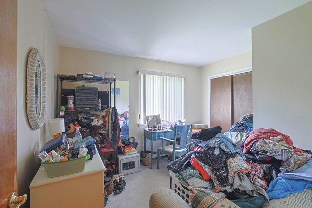 2 Mohican Rd, Newburgh, NY 12550 - carpeted bedroom featuring a closet