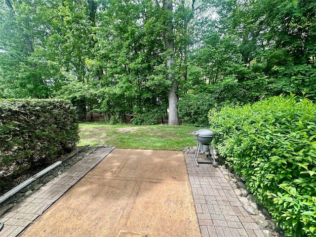 202 Doxbury Ln, Suffern, NY 10901 - view of patio with a grill