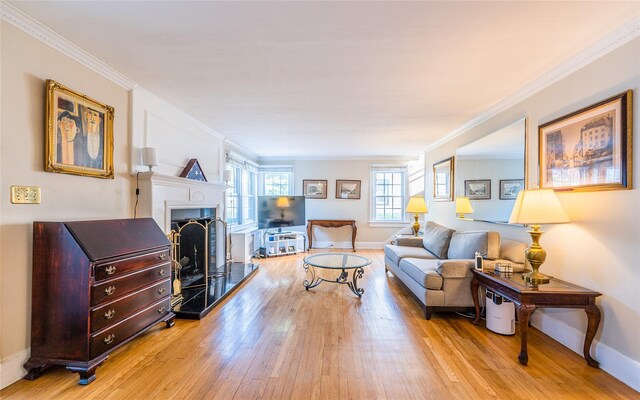 5 Cary Rd, Great Neck, NY 11021 - living room with crown molding, wood finished floors, a fireplace with raised hearth, and baseboards
