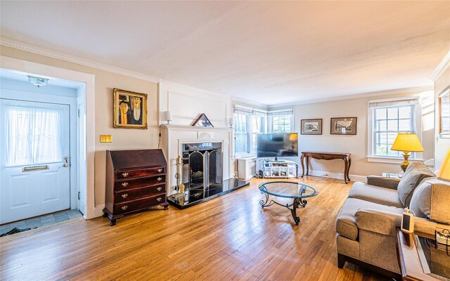 5 Cary Rd, Great Neck, NY 11021 - living room with crown molding, wood finished floors, a fireplace with raised hearth, and baseboards