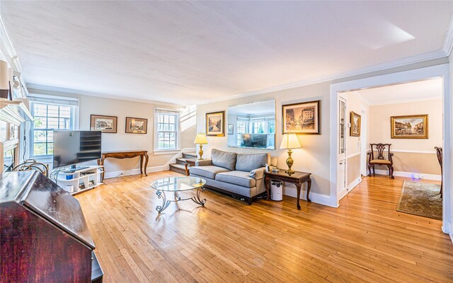 5 Cary Rd, Great Neck, NY 11021 - living room featuring ornamental molding, light wood-style flooring, and baseboards