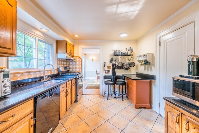 5 Cary Rd, Great Neck, NY 11021 - kitchen featuring stainless steel appliances, a sink, under cabinet range hood, backsplash, and light tile patterned flooring