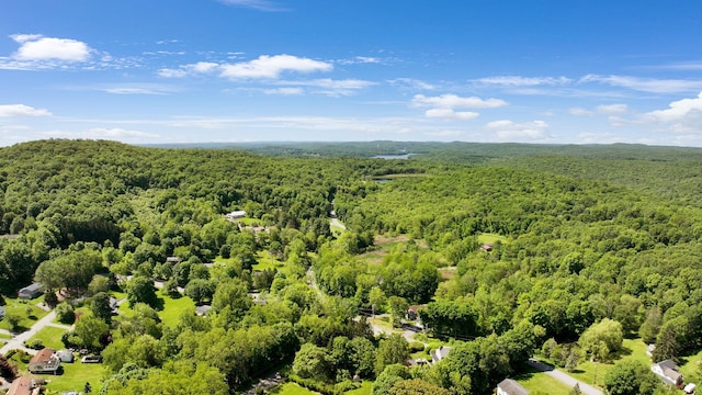 34 Leeside Dr, Carmel, NY 10512 - drone / aerial view of a heavily wooded area