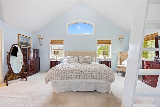10 Bulaire, East Rockaway, NY 11518 - bedroom with carpet and high vaulted ceiling