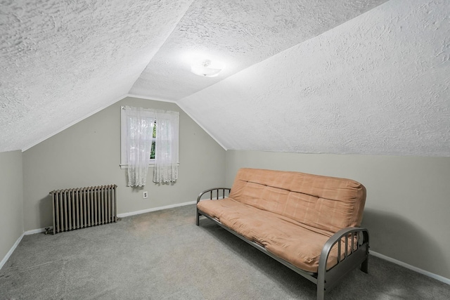 1817 Lincoln Ave, Holbrook, NY 11741 - living area featuring radiator heating unit, a textured ceiling, vaulted ceiling, and carpet