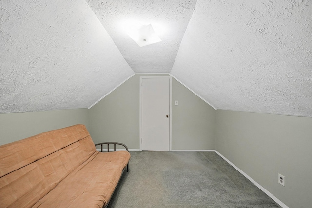 1817 Lincoln Ave, Holbrook, NY 11741 - unfurnished room featuring a textured ceiling, carpet floors, and vaulted ceiling