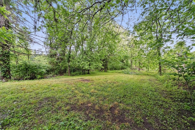 809 Broadway Unit 9W, Ulster Park, NY 12487 - view of green lawn featuring a forest view