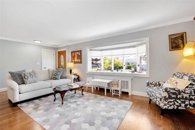 18 Hamilton St, Farmingdale, NY 11735 - living area with wood finished floors, ornamental molding, and baseboards