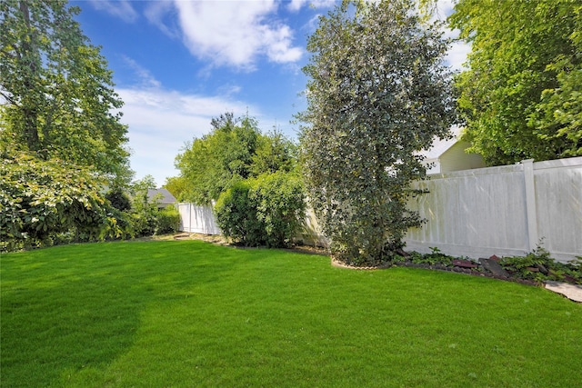 18 Hamilton St, Farmingdale, NY 11735 - view of yard
