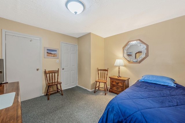 51 Pewter Ln, Hicksville, NY 11801 - view of carpeted bedroom