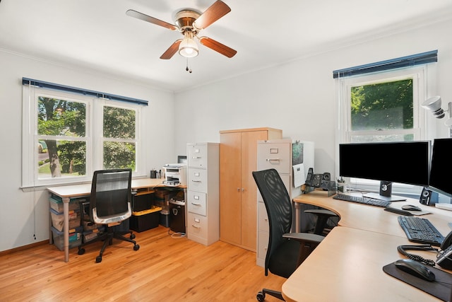 7 Adele Ct, Montrose, NY 10567 - home office with crown molding, light wood-style floors, and a ceiling fan