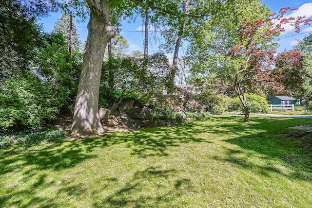 7 Adele Ct, Montrose, NY 10567 - view of grassy yard