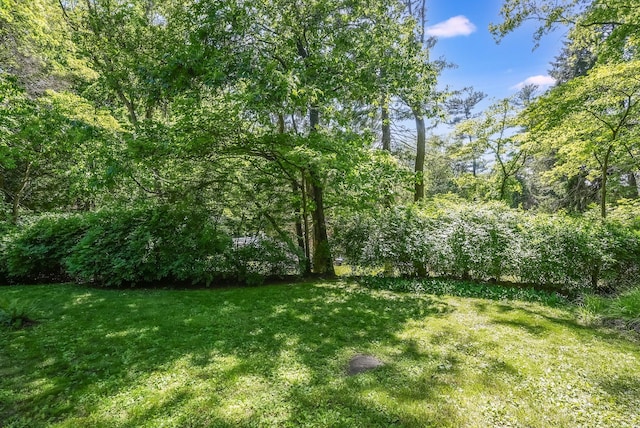 7 Adele Ct, Montrose, NY 10567 - view of green lawn