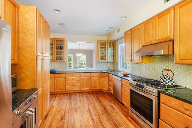 2740 Netherland Ave, Bronx, NY 10463 - kitchen with appliances with stainless steel finishes, under cabinet range hood, light wood-type flooring, a sink, and glass insert cabinets