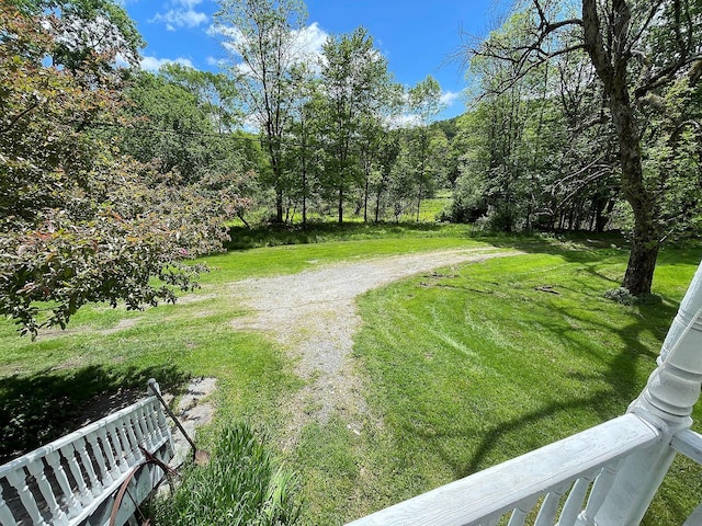 12 Henderson Rd, Hankins, NY 12741 - view of green lawn