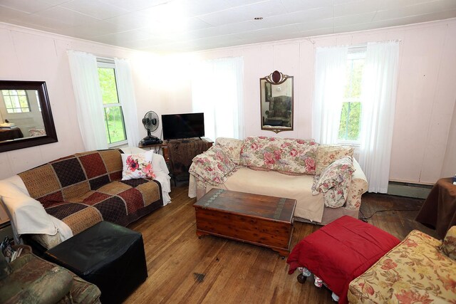 12 Henderson Rd, Hankins, NY 12741 - living room featuring wood-type flooring and a baseboard heating unit