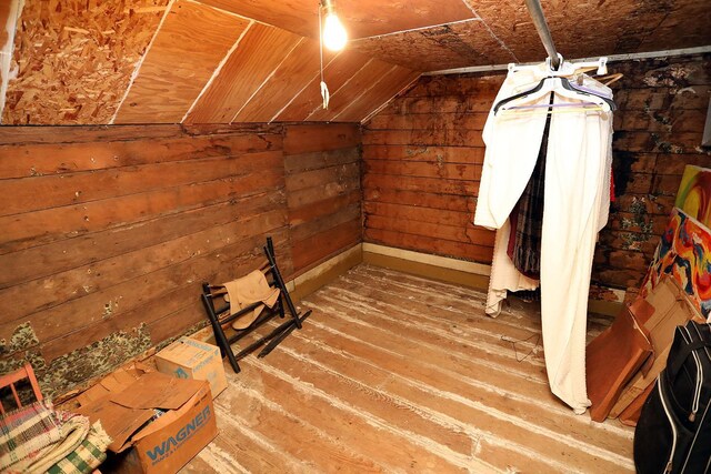 12 Henderson Rd, Hankins, NY 12741 - walk in closet featuring lofted ceiling and wood-type flooring