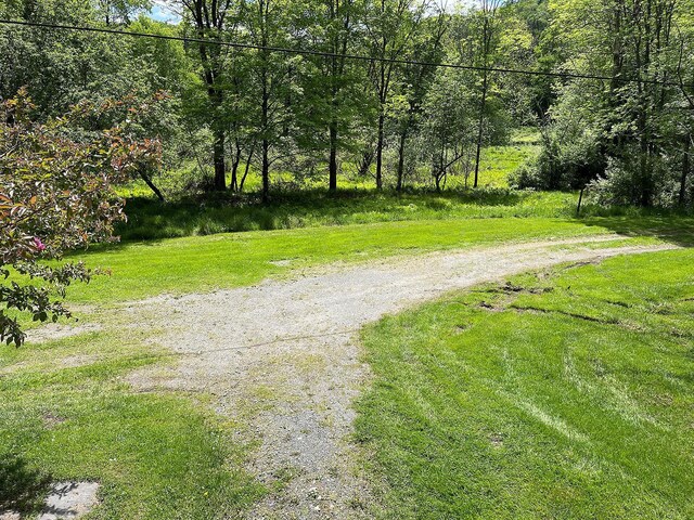 12 Henderson Rd, Hankins, NY 12741 - view of street with a wooded view