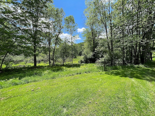 12 Henderson Rd, Hankins, NY 12741 - view of yard