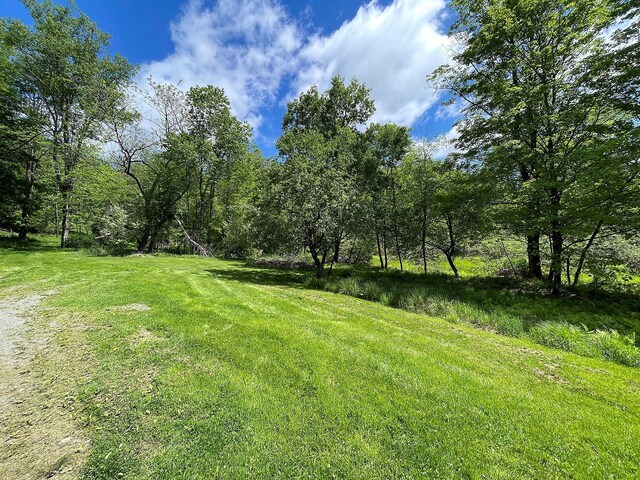 12 Henderson Rd, Hankins, NY 12741 - view of green lawn