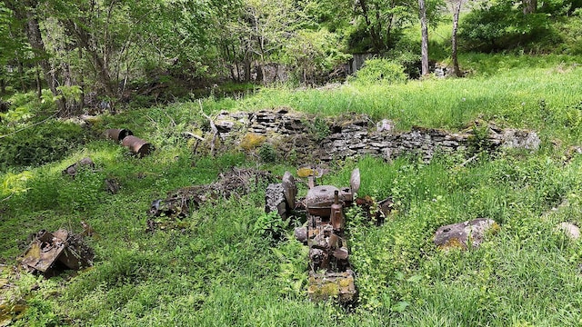 12 Henderson Rd, Hankins, NY 12741 - view of yard