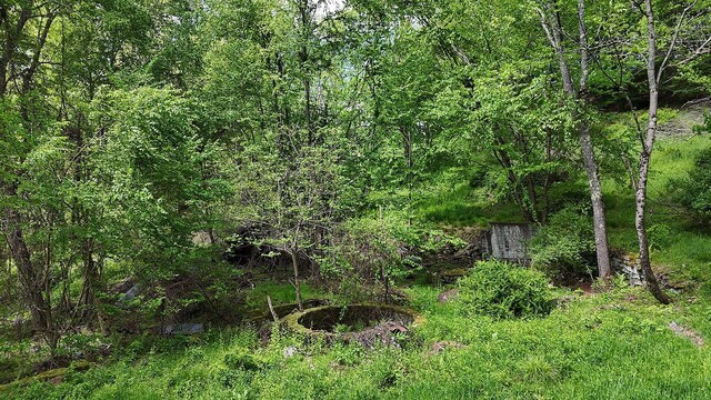 12 Henderson Rd, Hankins, NY 12741 - view of tree filled area