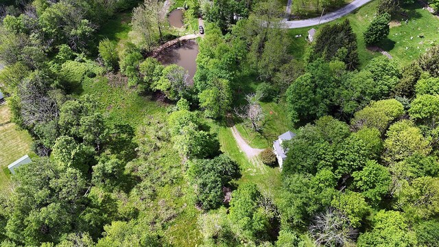 12 Henderson Rd, Hankins, NY 12741 - aerial view