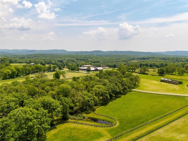 243 Dingle Ridge Rd, Brewster, NY 10509 - photo 49