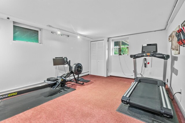 294 Rte 292, Holmes, NY 12531 - workout area with carpet floors, track lighting, and a baseboard heating unit