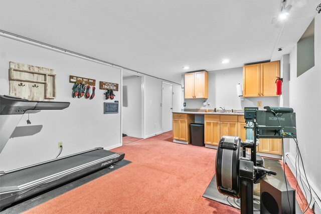 294 Rte 292, Holmes, NY 12531 - exercise area with a sink, light carpet, and recessed lighting