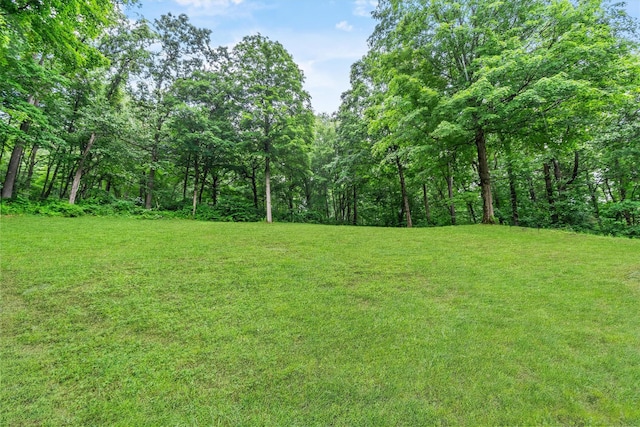 294 Rte 292, Holmes, NY 12531 - view of grassy yard