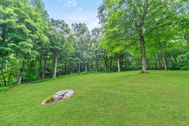 294 Rte 292, Holmes, NY 12531 - view of green lawn