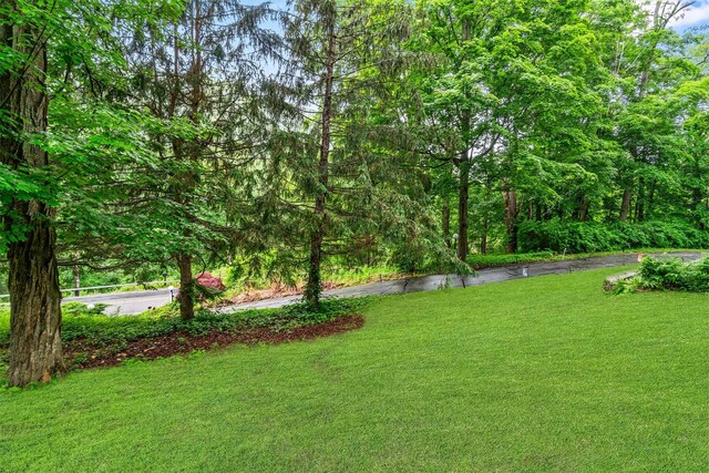 294 Rte 292, Holmes, NY 12531 - view of grassy yard