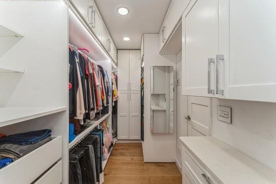 1355 Broadway Unit B20, Hewlett, NY 11557 - walk in closet with light wood-style flooring