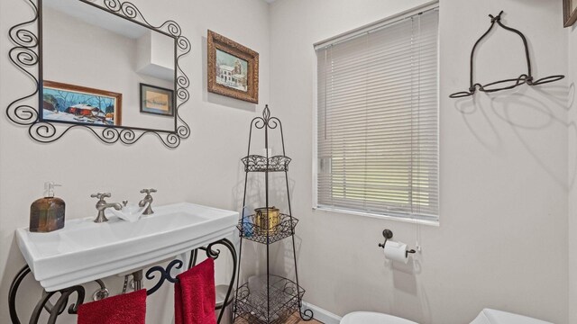 42 Blackstone Rdg, Holmes, NY 12531 - half bathroom featuring toilet, baseboards, and a sink