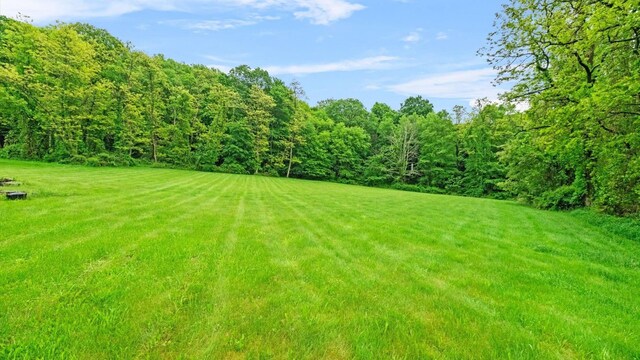 42 Blackstone Rdg, Holmes, NY 12531 - view of grassy yard featuring a view of trees