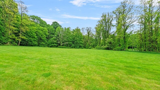 42 Blackstone Rdg, Holmes, NY 12531 - view of grassy yard featuring a wooded view