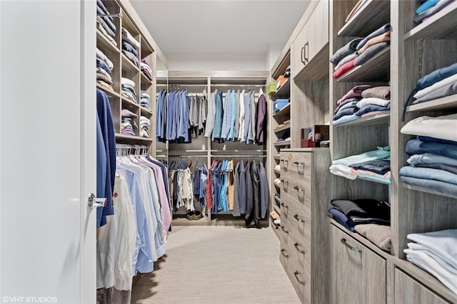 18 Rose Ln, Rye Brook, NY 10573 - walk in closet featuring carpet flooring