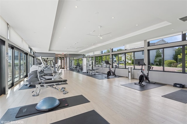 18 Rose Ln, Rye Brook, NY 10573 - gym featuring a raised ceiling, wood finished floors, ceiling fan, and recessed lighting