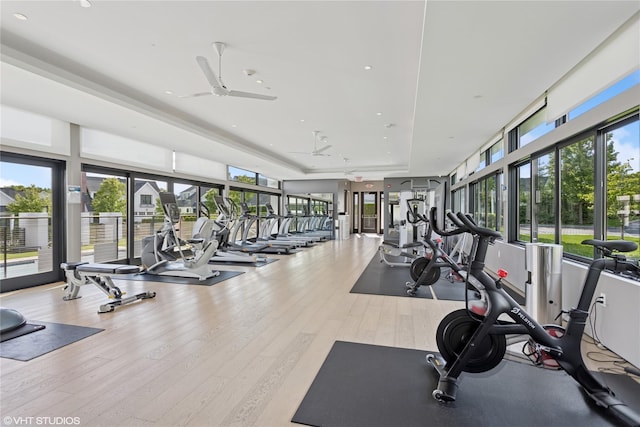18 Rose Ln, Rye Brook, NY 10573 - workout area with a raised ceiling, ceiling fan, and wood finished floors