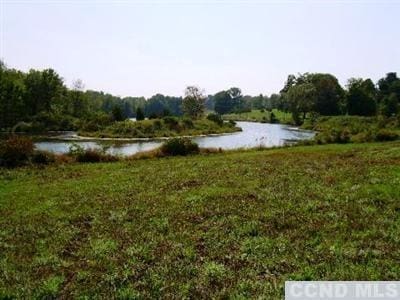  - photo 2