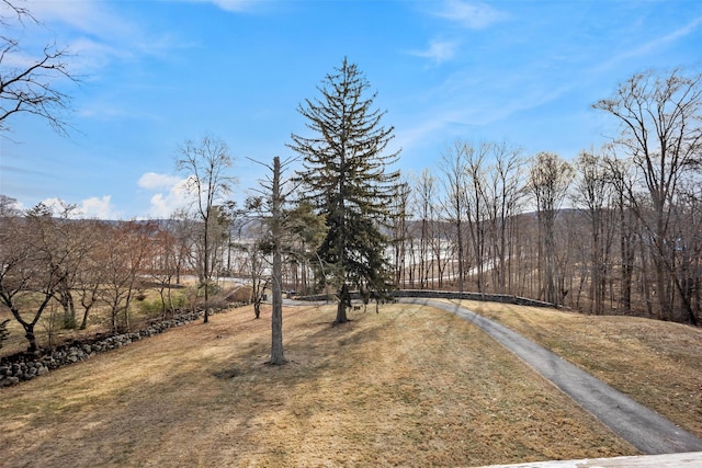 136 Titicus Rd, North Salem, NY 10560 - photo 31