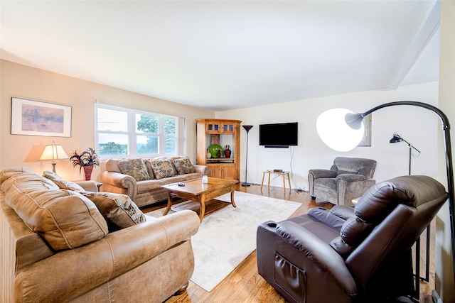 7 Ross Ln, Middletown, NY 10941 - living room featuring light wood-type flooring